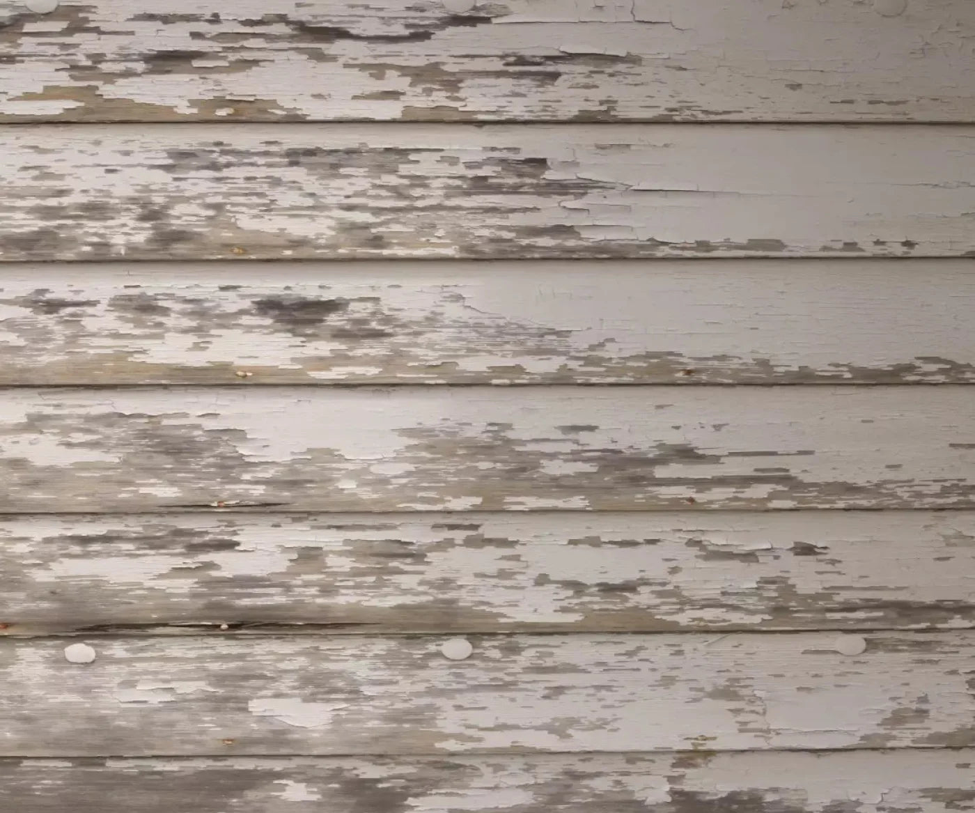 White Paint 5X42 Fleece ( 60 X 50 Inch ) Backdrop