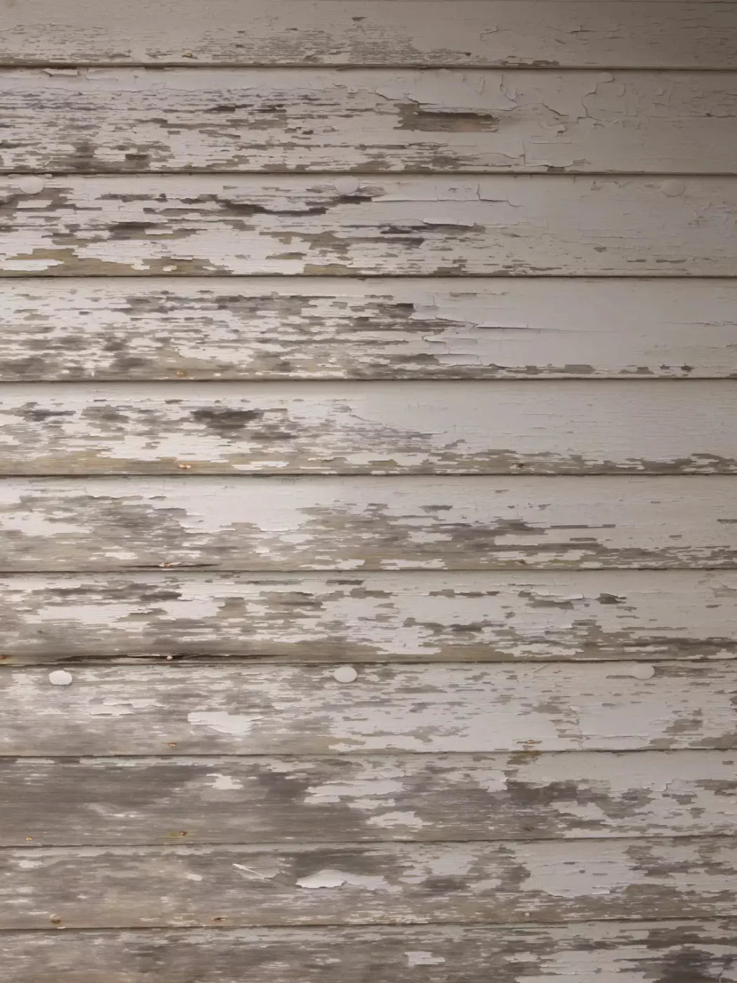 White Paint 5X7 Ultracloth ( 60 X 84 Inch ) Backdrop