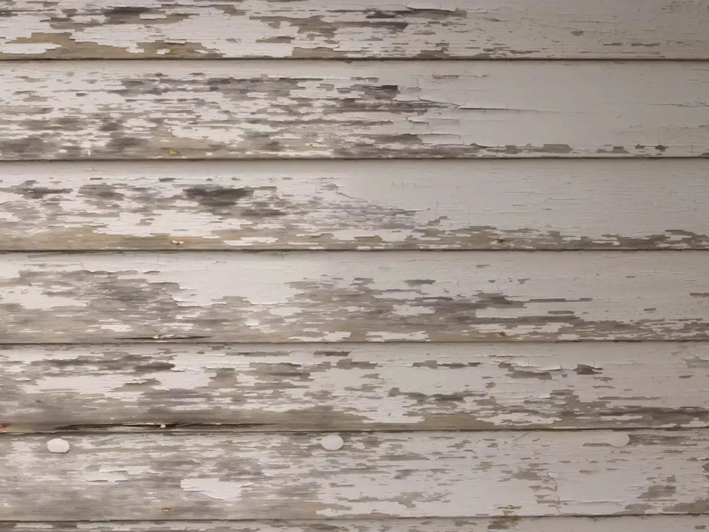 White Paint 68X5 Fleece ( 80 X 60 Inch ) Backdrop