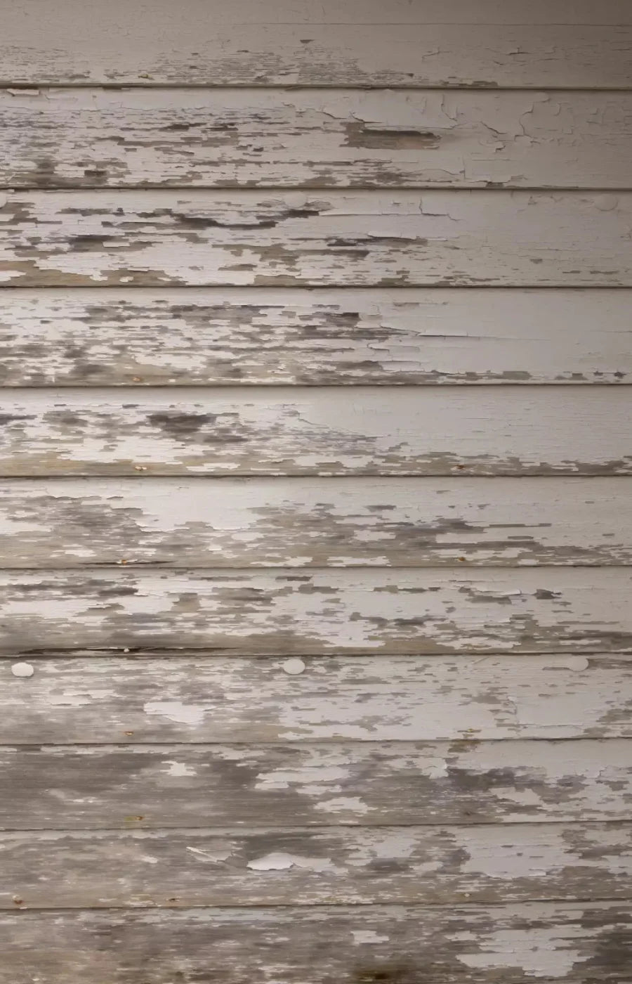 White Paint 8X12 Ultracloth ( 96 X 144 Inch ) Backdrop