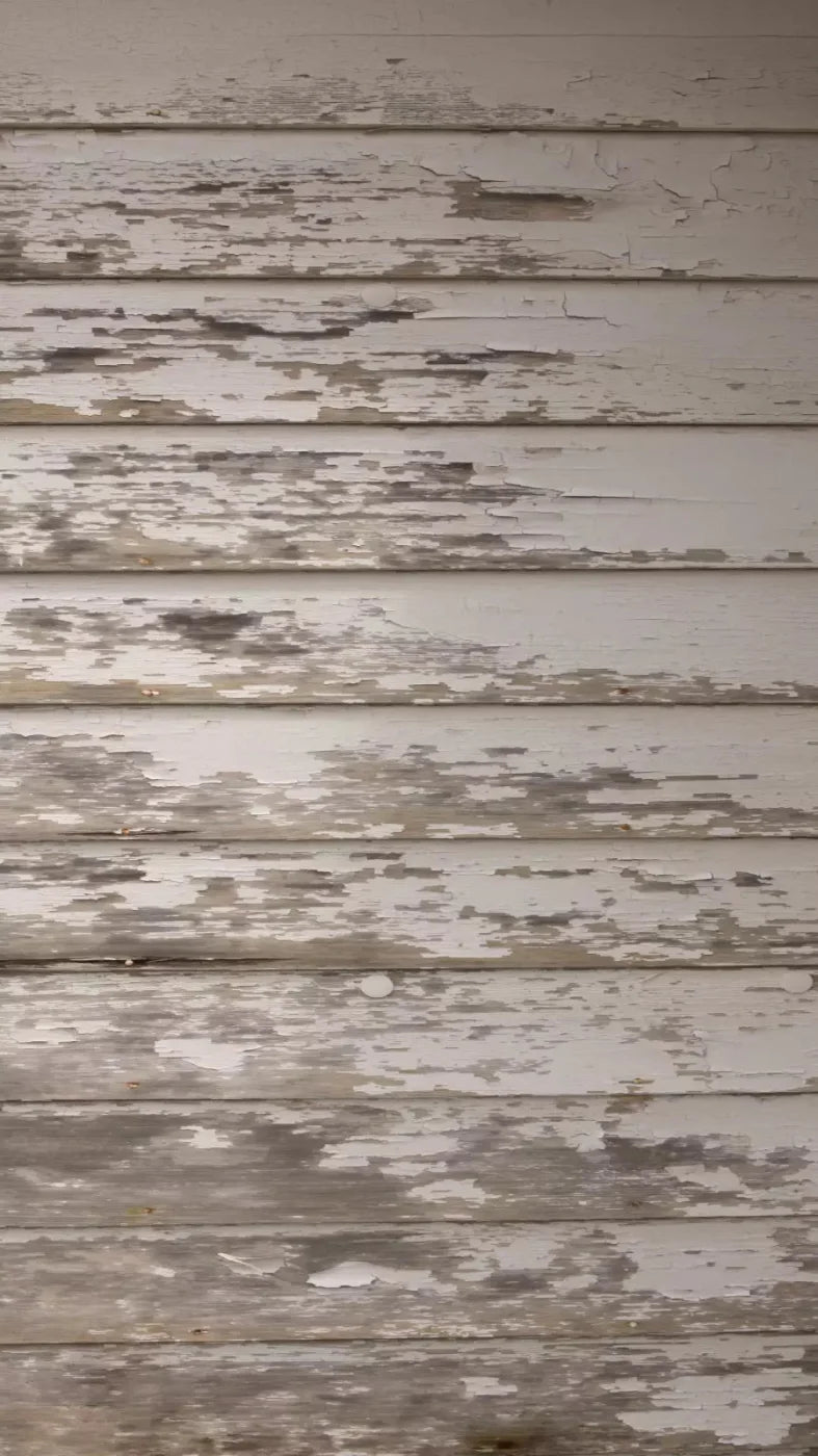 White Paint 8X14 Ultracloth ( 96 X 168 Inch ) Backdrop