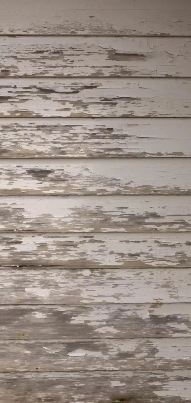 White Paint 8X16 Ultracloth ( 96 X 192 Inch ) Backdrop