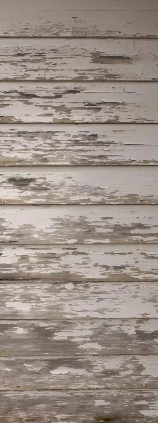 White Paint 8X20 Ultracloth ( 96 X 240 Inch ) Backdrop