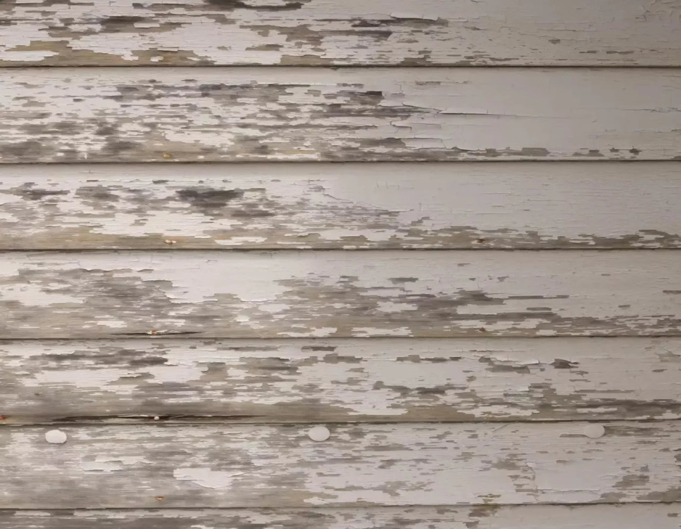 White Paint 8X6 Fleece ( 96 X 72 Inch ) Backdrop