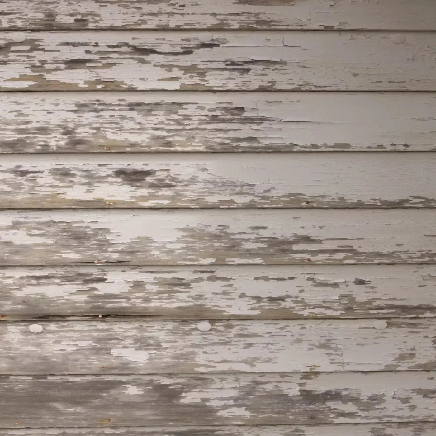 White Paint 8X8 Fleece ( 96 X Inch ) Backdrop