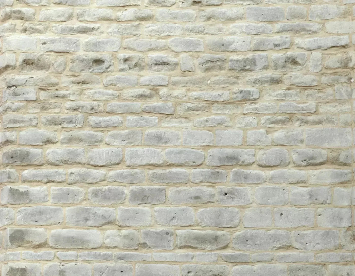 White Washed 8X6 Fleece ( 96 X 72 Inch ) Backdrop