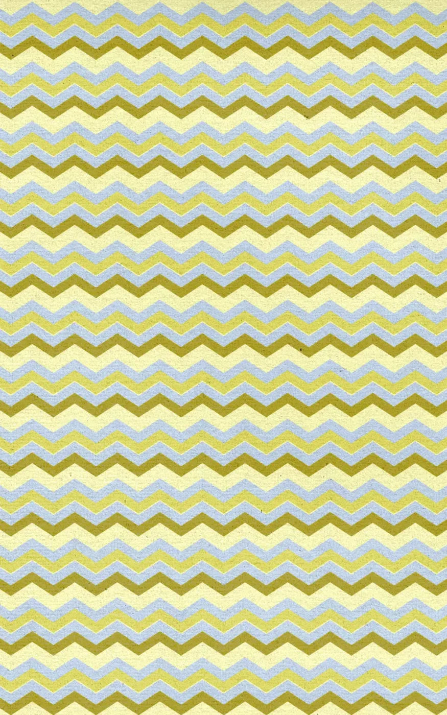 Winslow 9X14 Ultracloth ( 108 X 168 Inch ) Backdrop