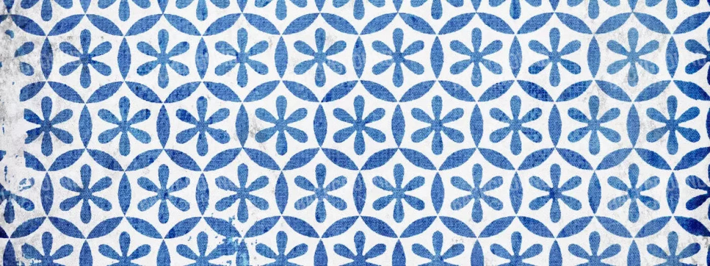 Winter Blues 20X8 Ultracloth ( 240 X 96 Inch ) Backdrop