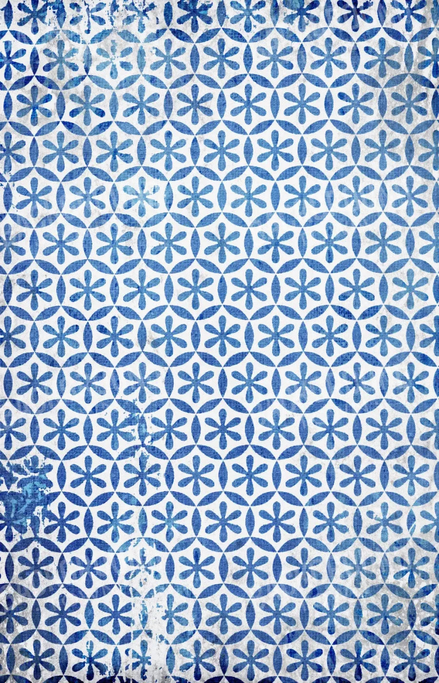 Winter Blues 8X12 Ultracloth ( 96 X 144 Inch ) Backdrop