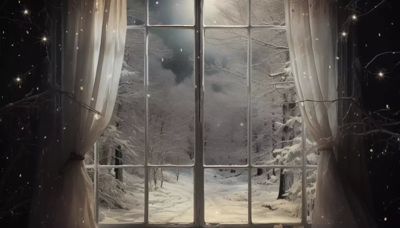 Winter Window 1 Horizontal 14X8 Ultracloth ( 168 X 96 Inch ) Backdrop