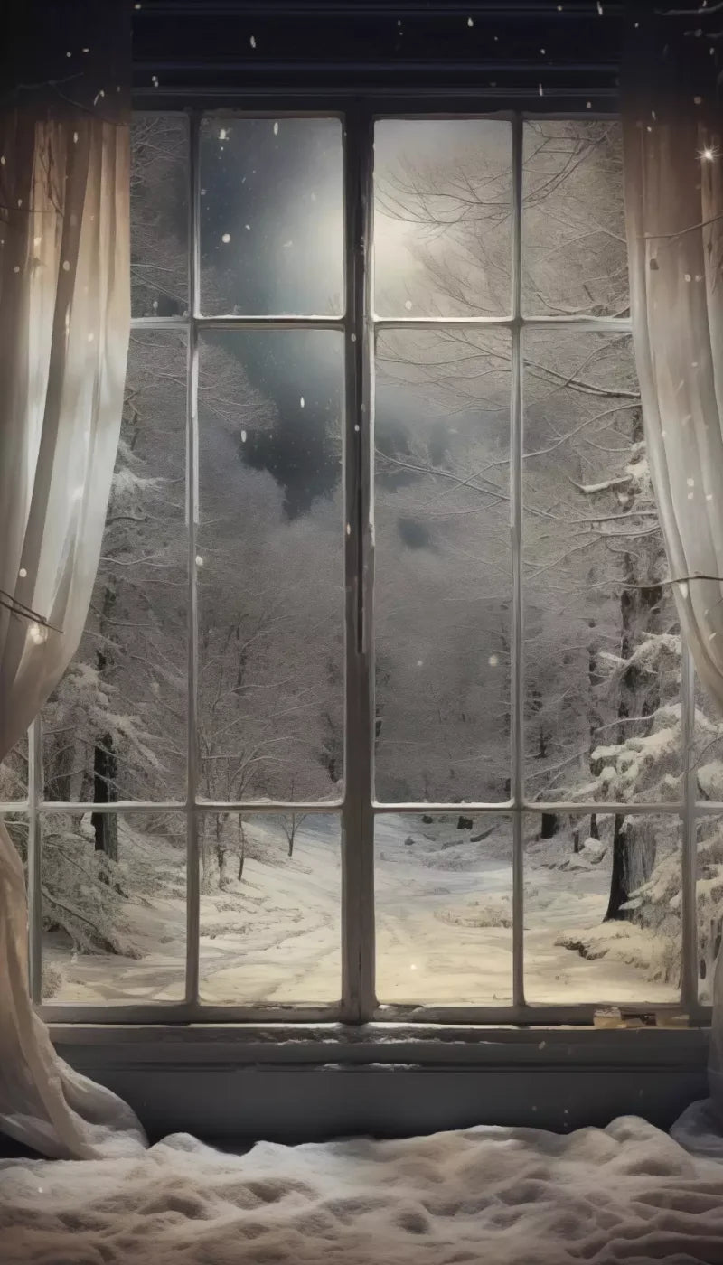 Winter Window 1 Vertical 8X14 Ultracloth ( 96 X 168 Inch ) Backdrop