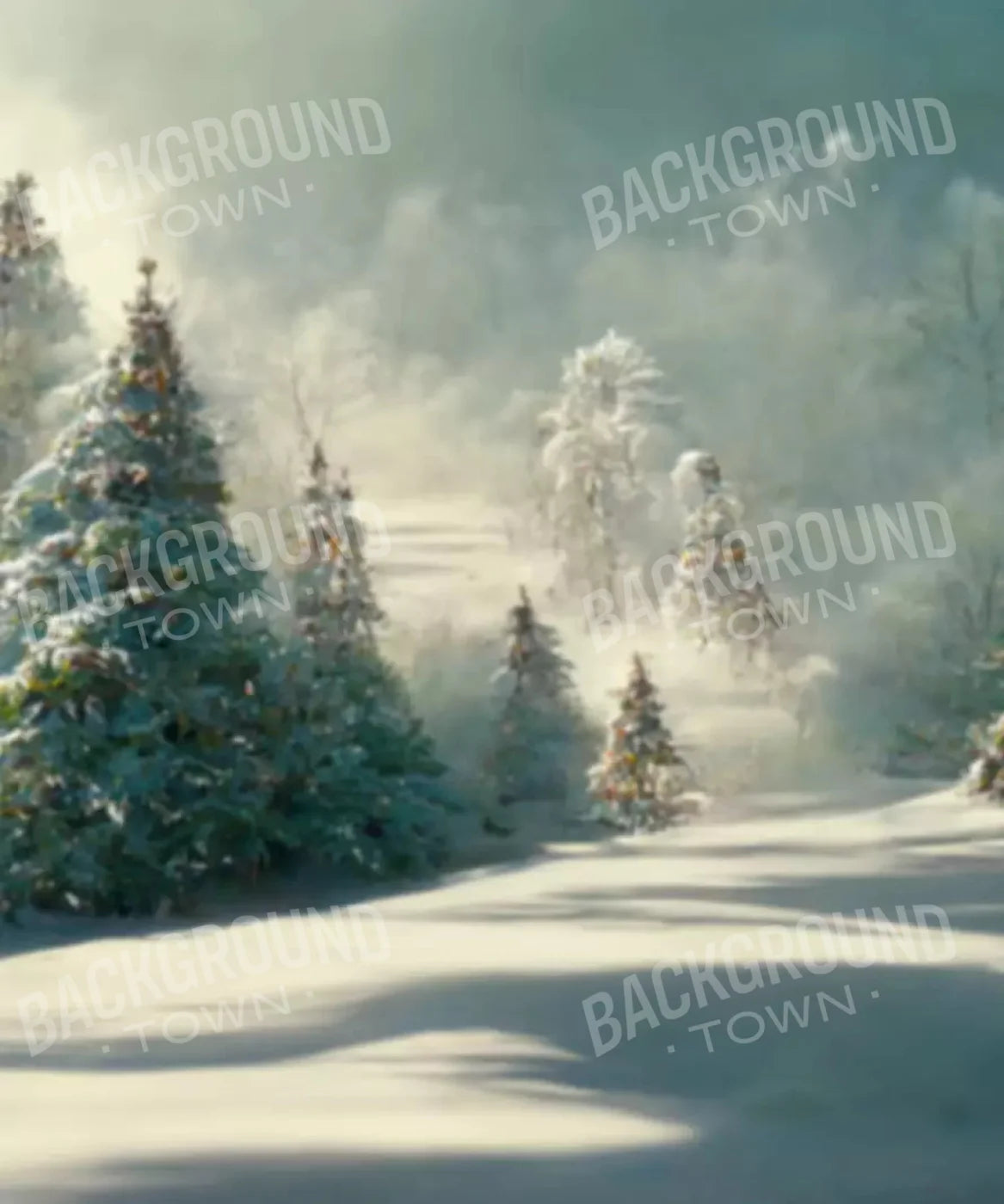 Backdrop for Photography