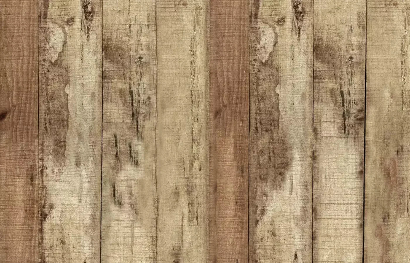 Woodlot 12X8 Ultracloth ( 144 X 96 Inch ) Backdrop