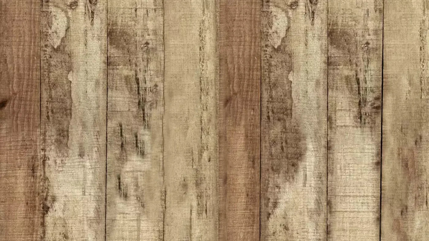 Woodlot 14X8 Ultracloth ( 168 X 96 Inch ) Backdrop