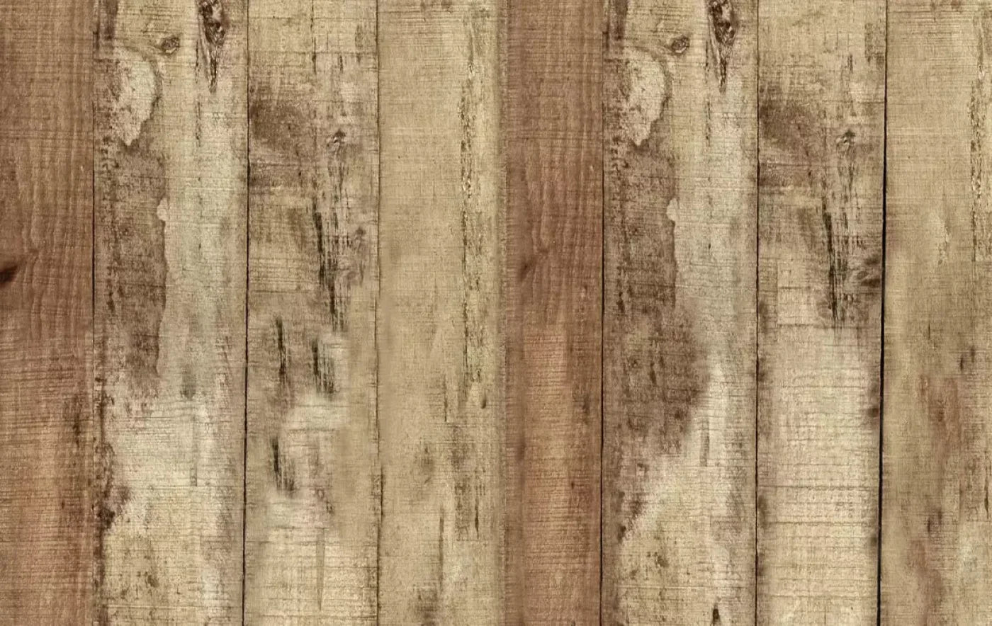 Woodlot 16X10 Ultracloth ( 192 X 120 Inch ) Backdrop