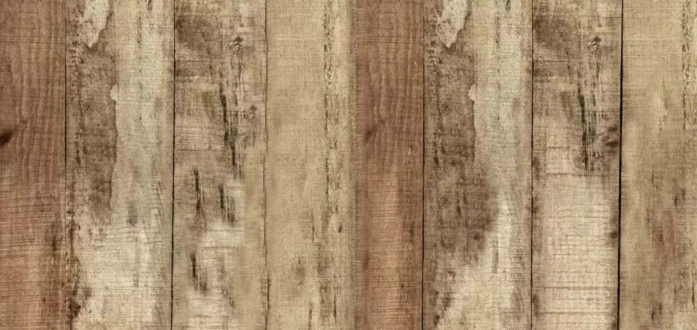 Woodlot 16X8 Ultracloth ( 192 X 96 Inch ) Backdrop