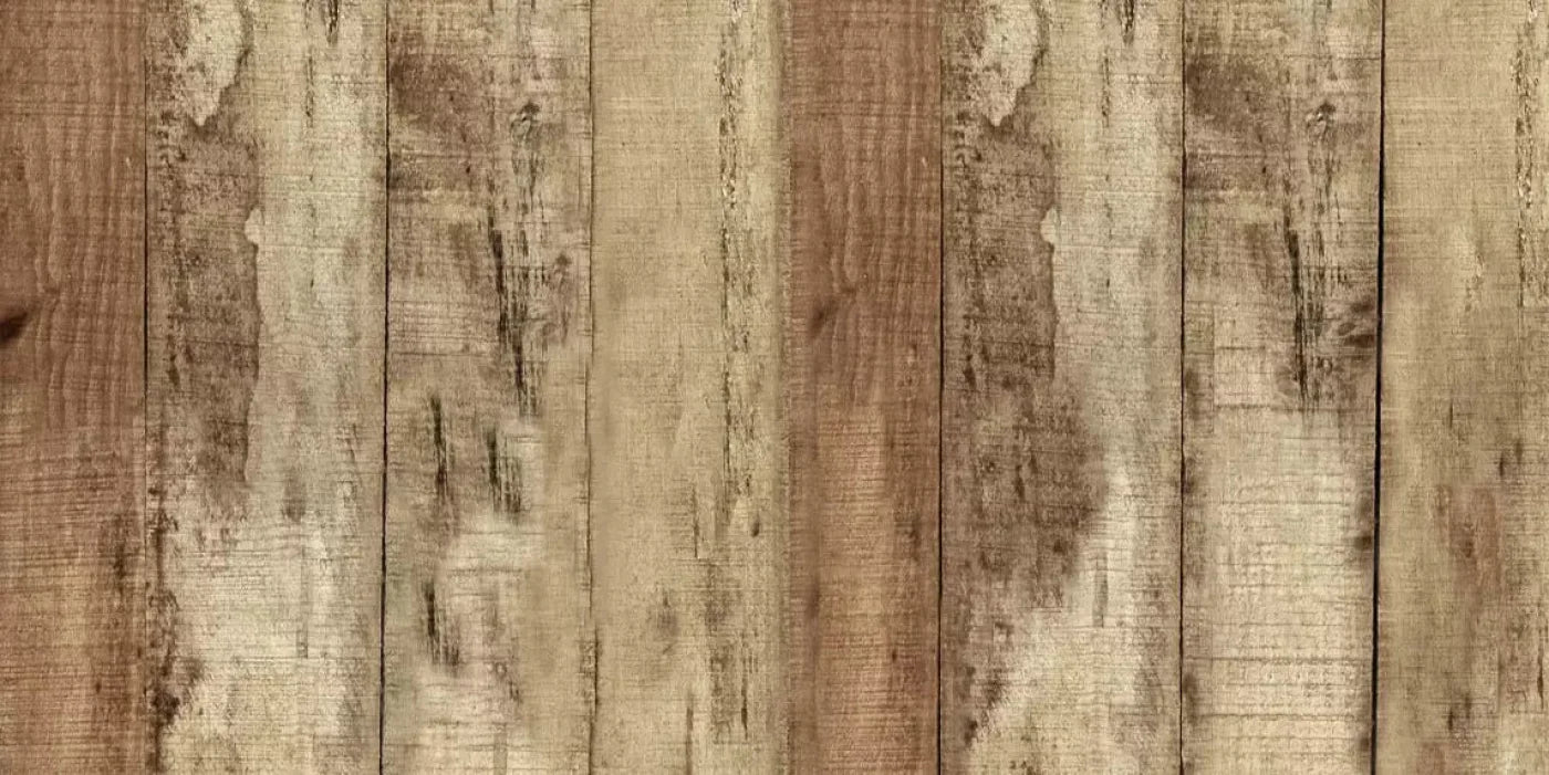 Woodlot 20X10 Ultracloth ( 240 X 120 Inch ) Backdrop