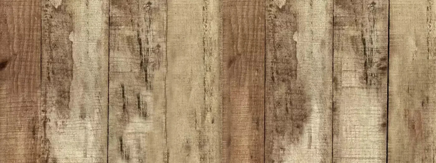 Woodlot 20X8 Ultracloth ( 240 X 96 Inch ) Backdrop