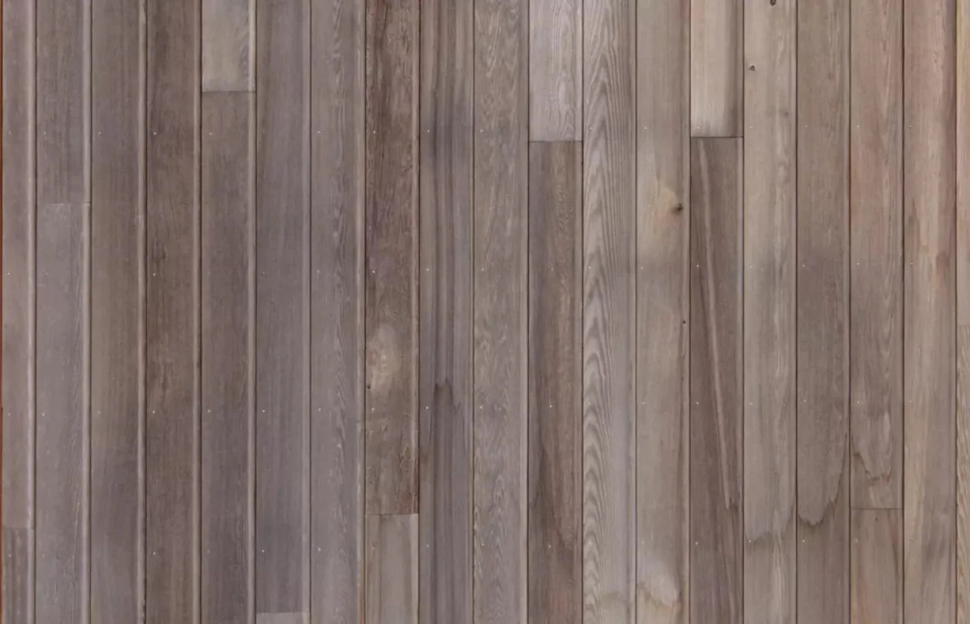 Woodridge 12X8 Ultracloth ( 144 X 96 Inch ) Backdrop