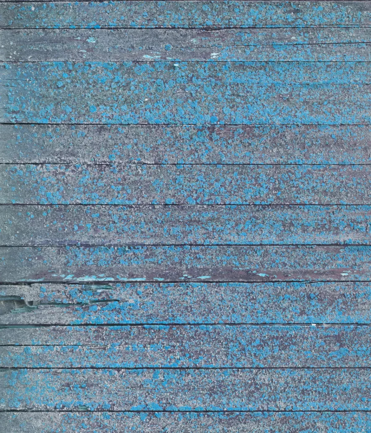 Woodsen Blue 10X12 Ultracloth ( 120 X 144 Inch ) Backdrop
