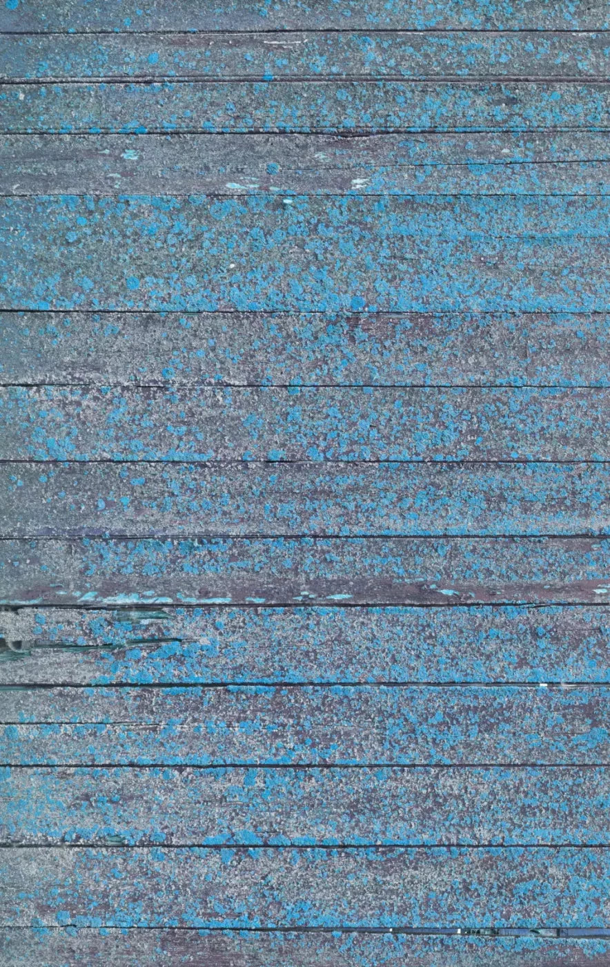 Woodsen Blue 10X16 Ultracloth ( 120 X 192 Inch ) Backdrop