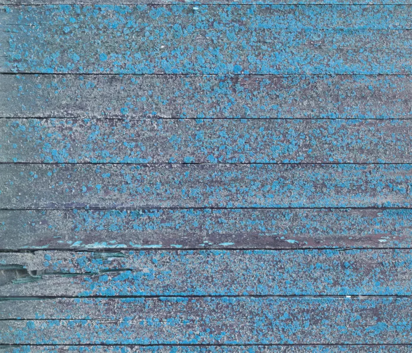 Woodsen Blue 12X10 Ultracloth ( 144 X 120 Inch ) Backdrop