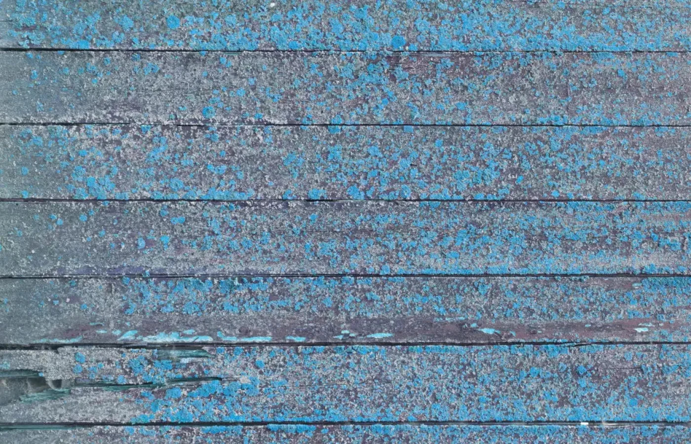 Woodsen Blue 12X8 Ultracloth ( 144 X 96 Inch ) Backdrop