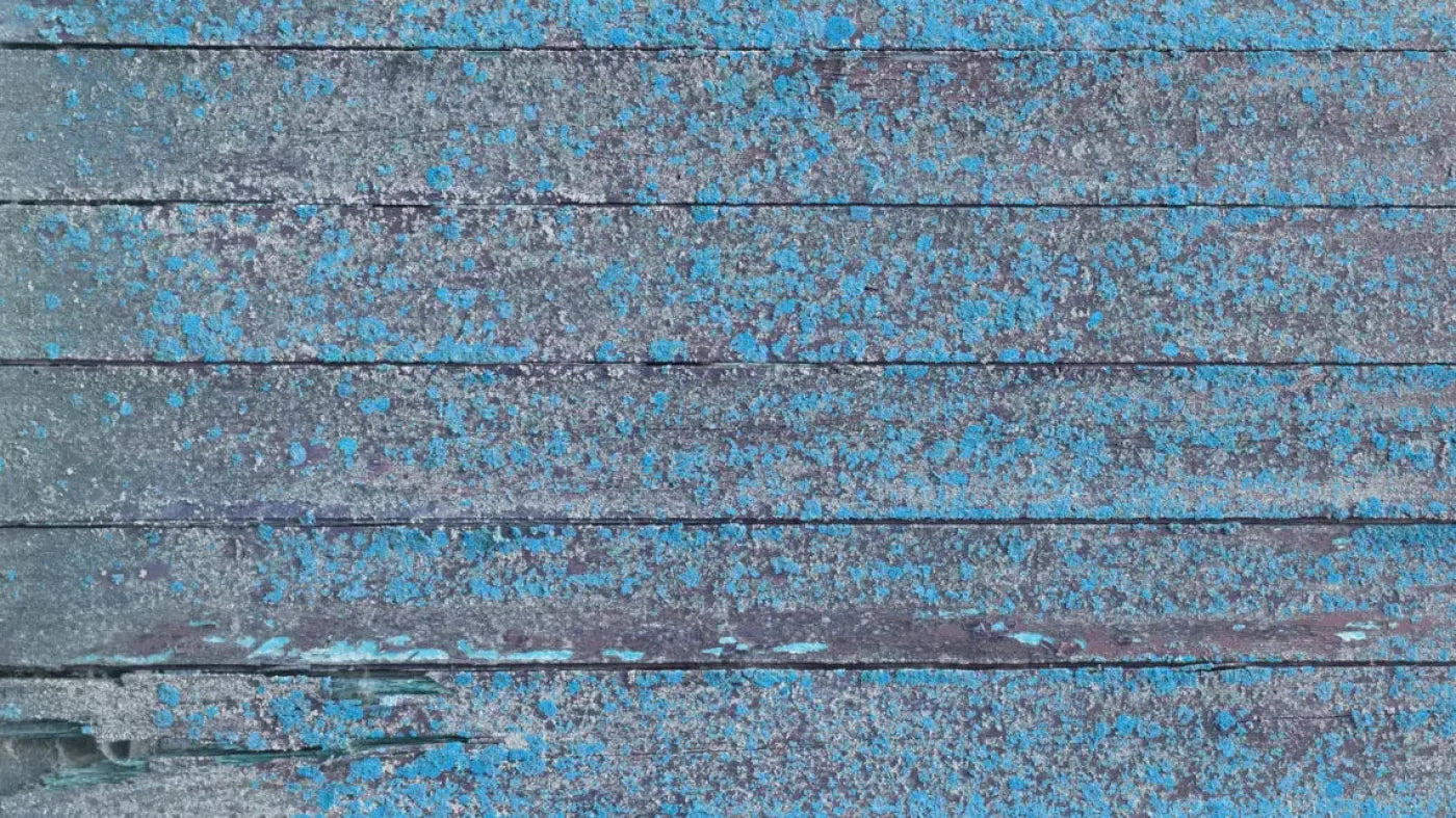 Woodsen Blue 14X8 Ultracloth ( 168 X 96 Inch ) Backdrop