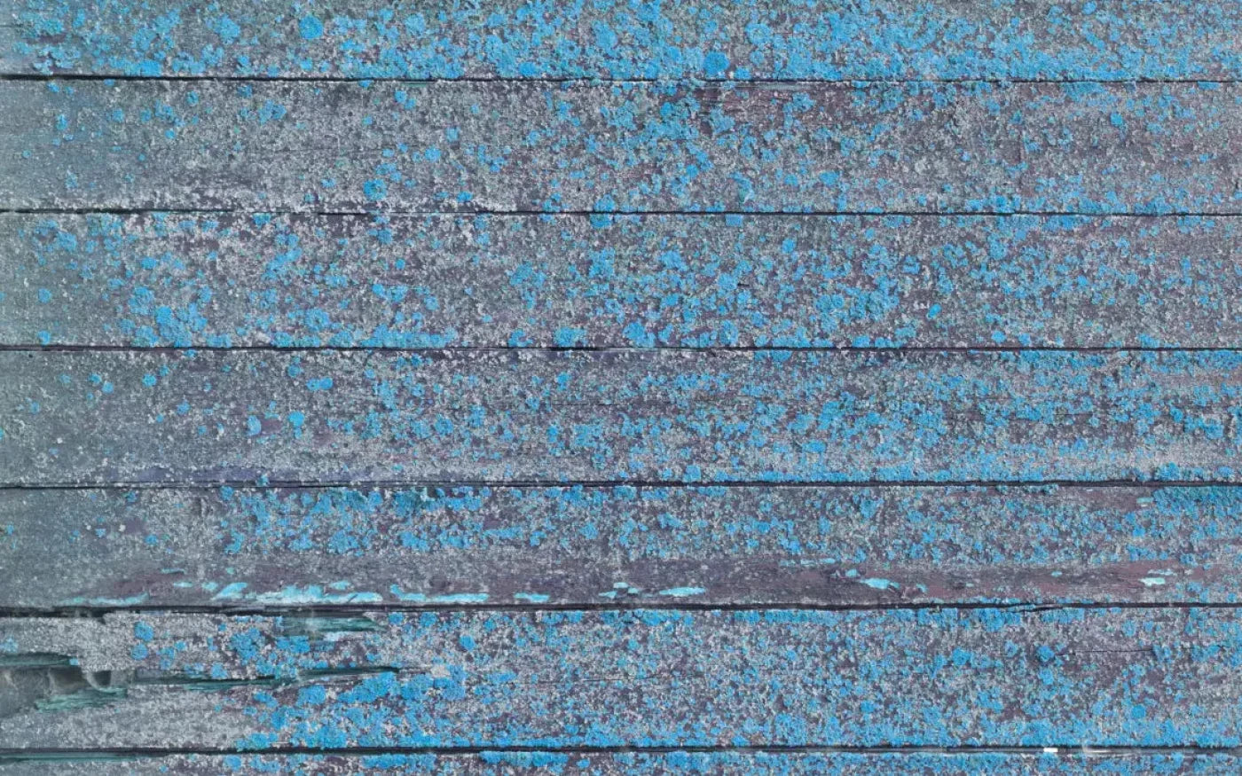 Woodsen Blue 14X9 Ultracloth ( 168 X 108 Inch ) Backdrop