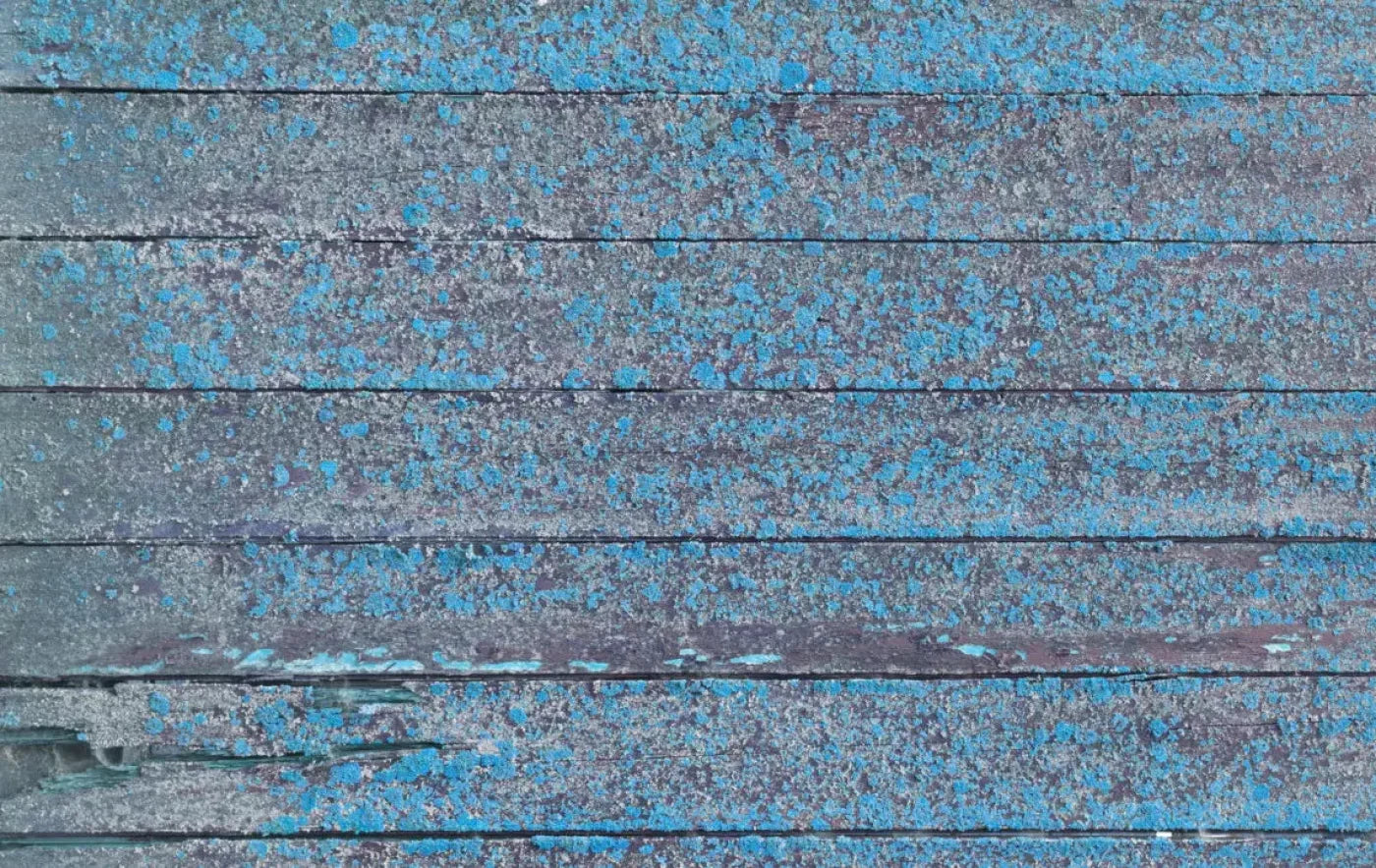 Woodsen Blue 16X10 Ultracloth ( 192 X 120 Inch ) Backdrop