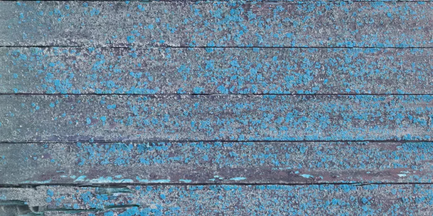 Woodsen Blue 20X10 Ultracloth ( 240 X 120 Inch ) Backdrop