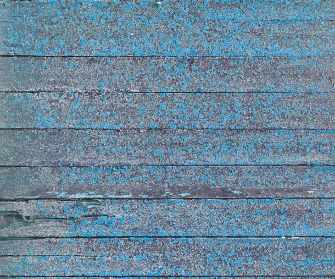 Woodsen Blue 5X42 Fleece ( 60 X 50 Inch ) Backdrop
