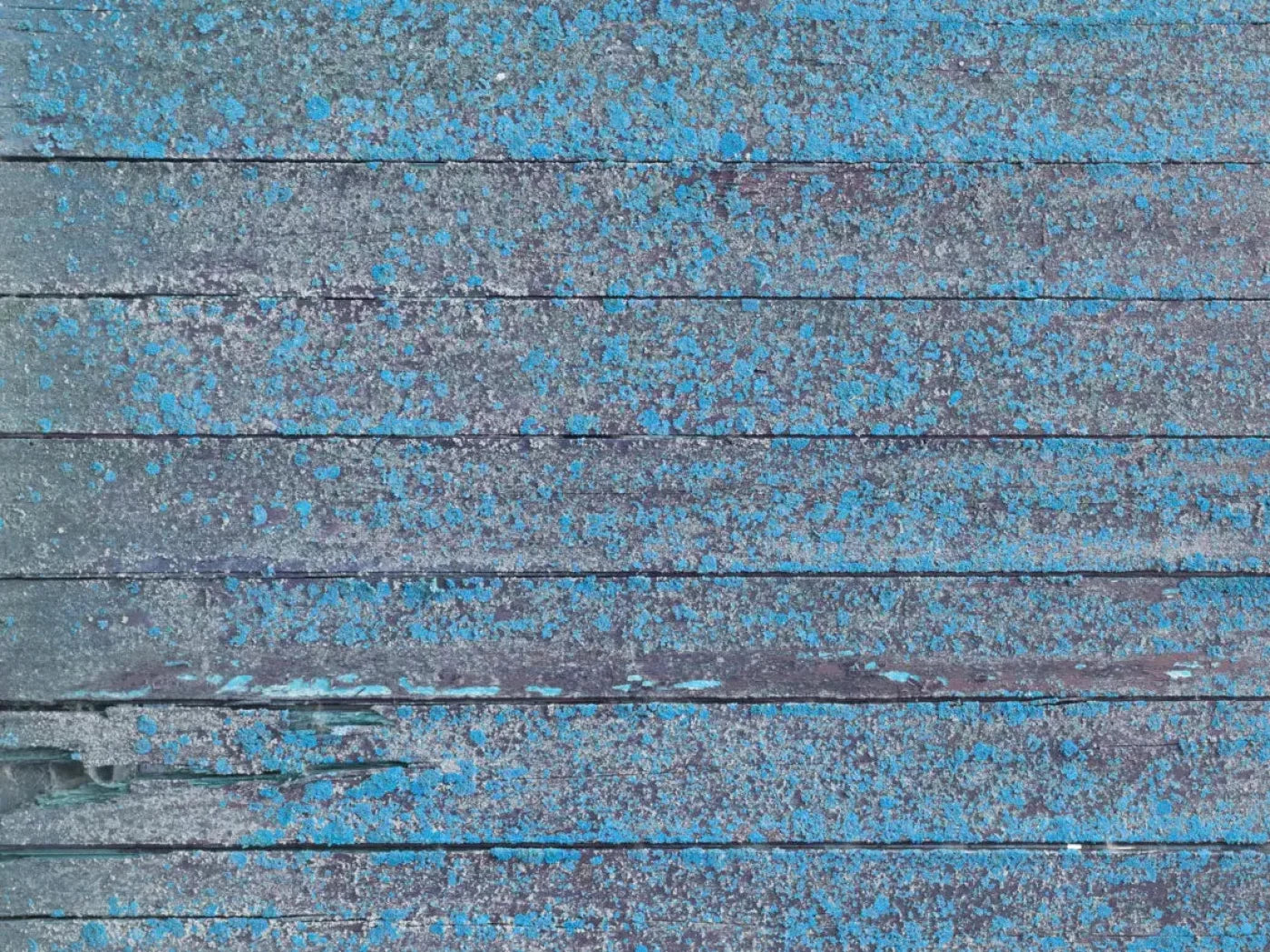 Woodsen Blue 68X5 Fleece ( 80 X 60 Inch ) Backdrop