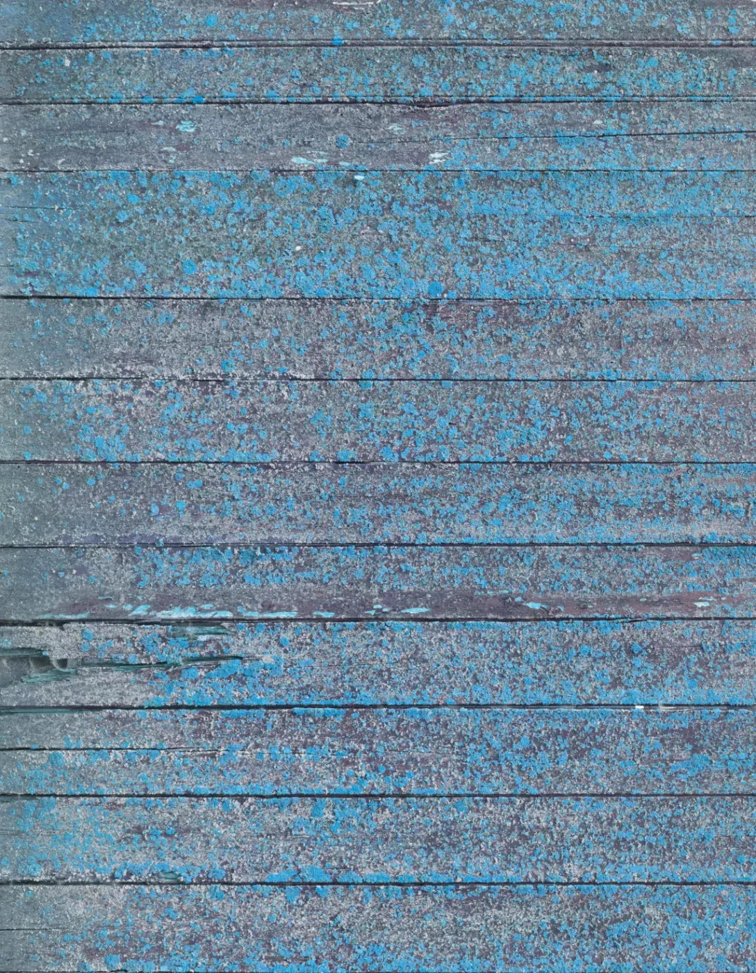 Woodsen Blue 6X8 Fleece ( 72 X 96 Inch ) Backdrop