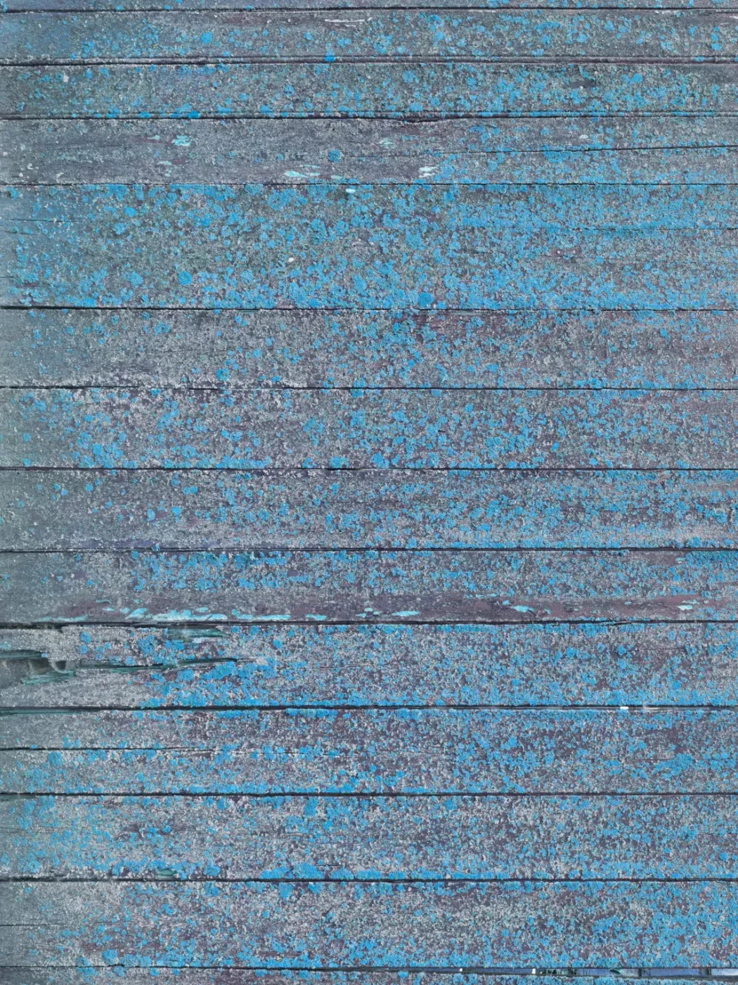 Woodsen Blue 8X10 Fleece ( 96 X 120 Inch ) Backdrop