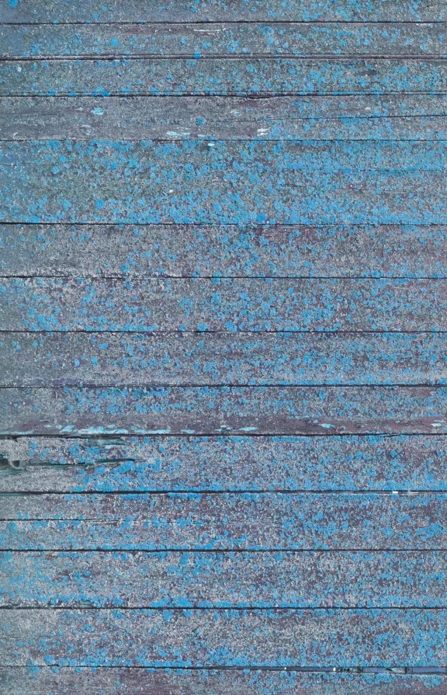 Woodsen Blue 8X12 Ultracloth ( 96 X 144 Inch ) Backdrop