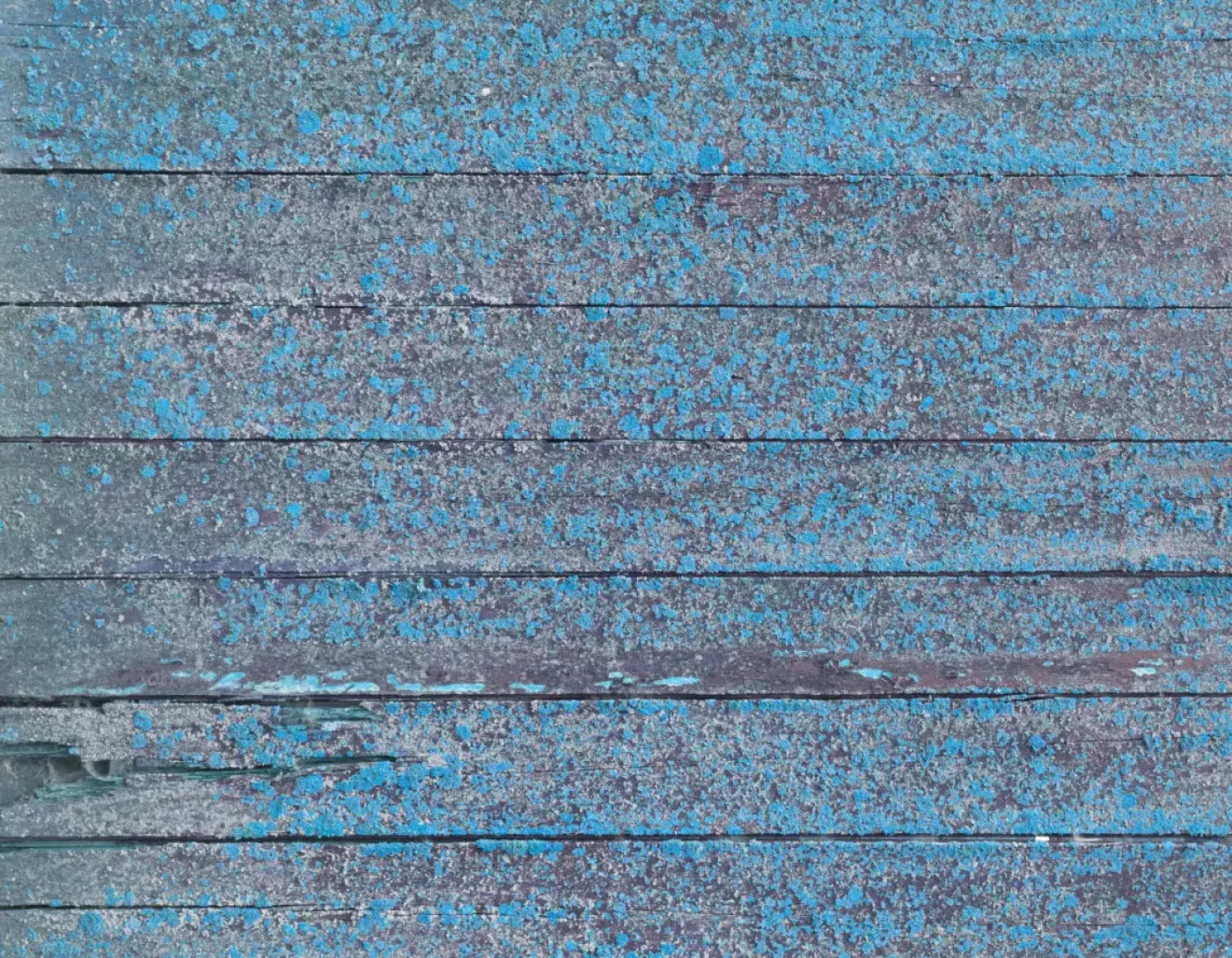 Woodsen Blue 8X6 Fleece ( 96 X 72 Inch ) Backdrop