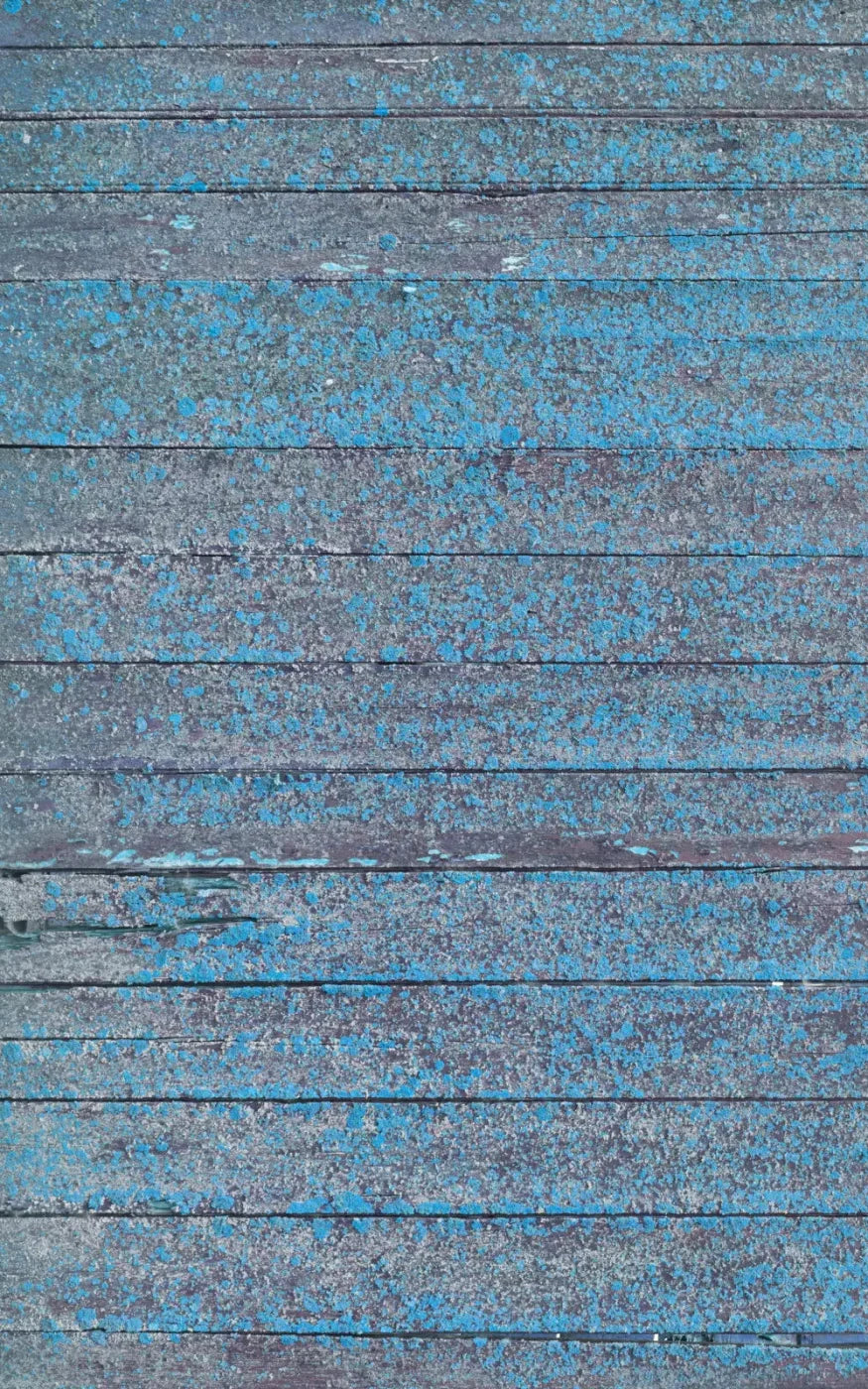Woodsen Blue 9X14 Ultracloth ( 108 X 168 Inch ) Backdrop