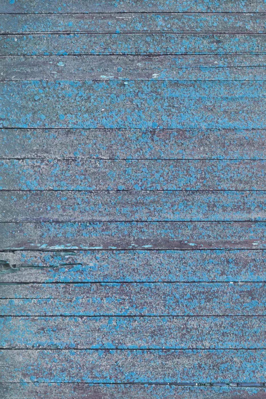 Woodsen Blue Backdrop