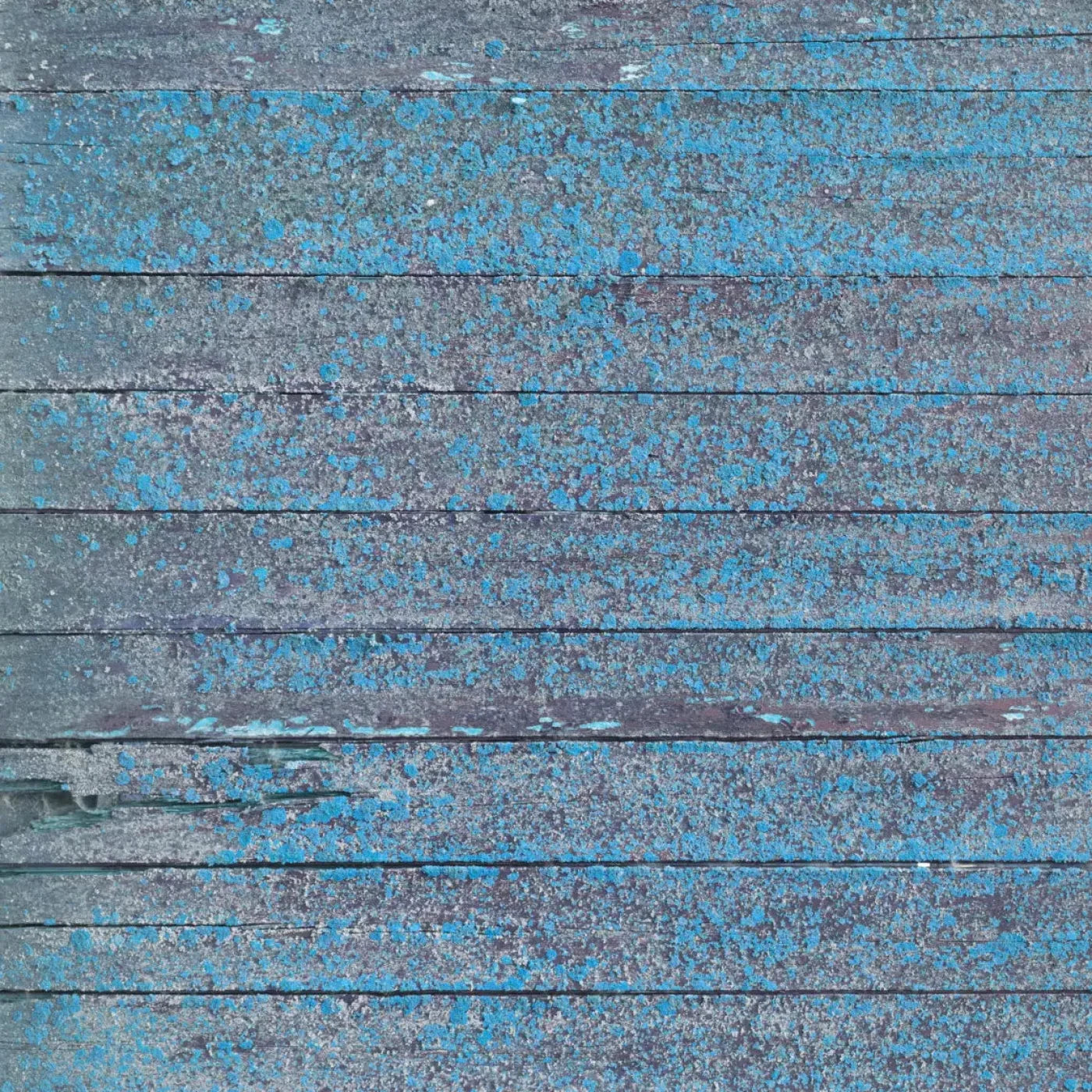 Woodsen Blue Backdrop
