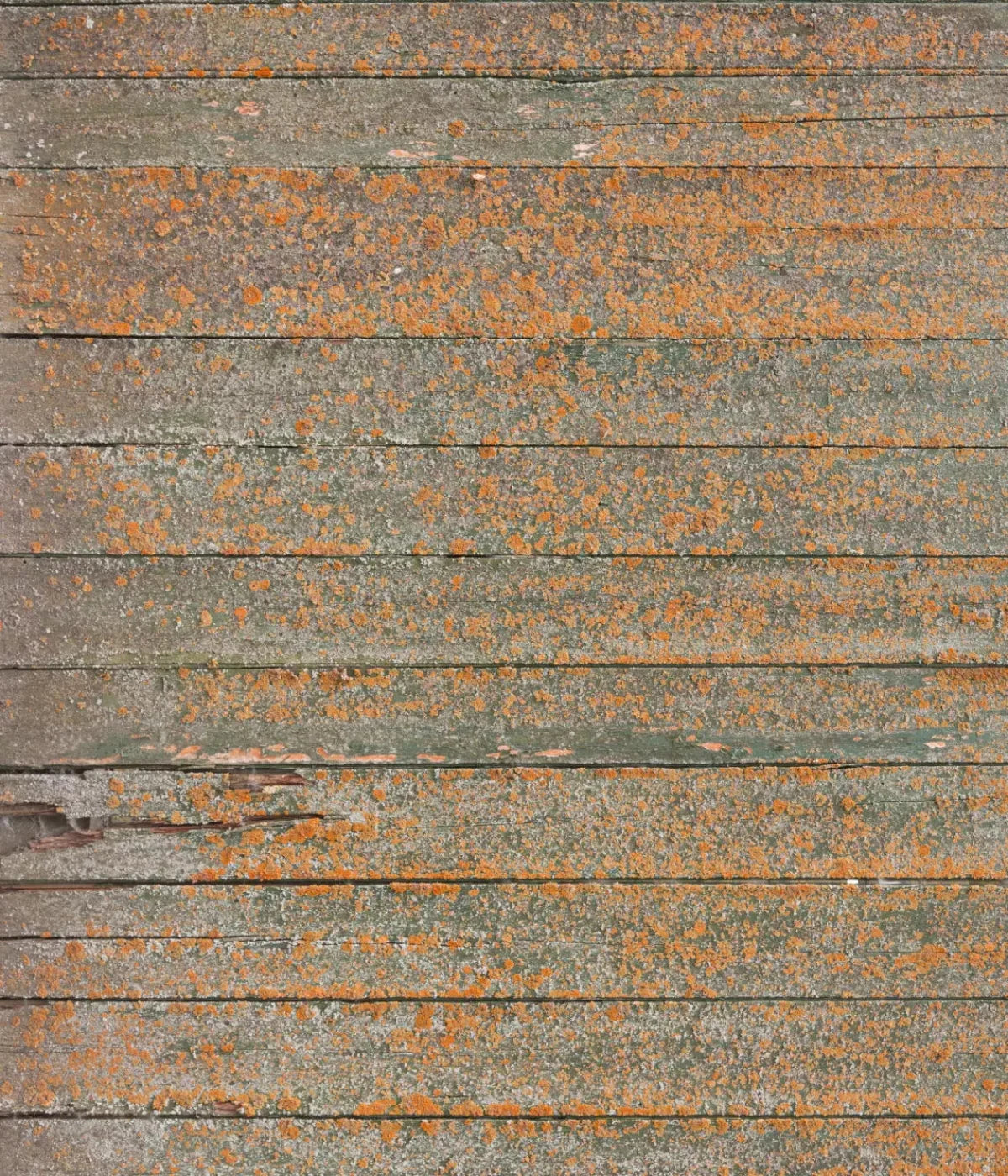 Woodsen Orange 10X12 Ultracloth ( 120 X 144 Inch ) Backdrop