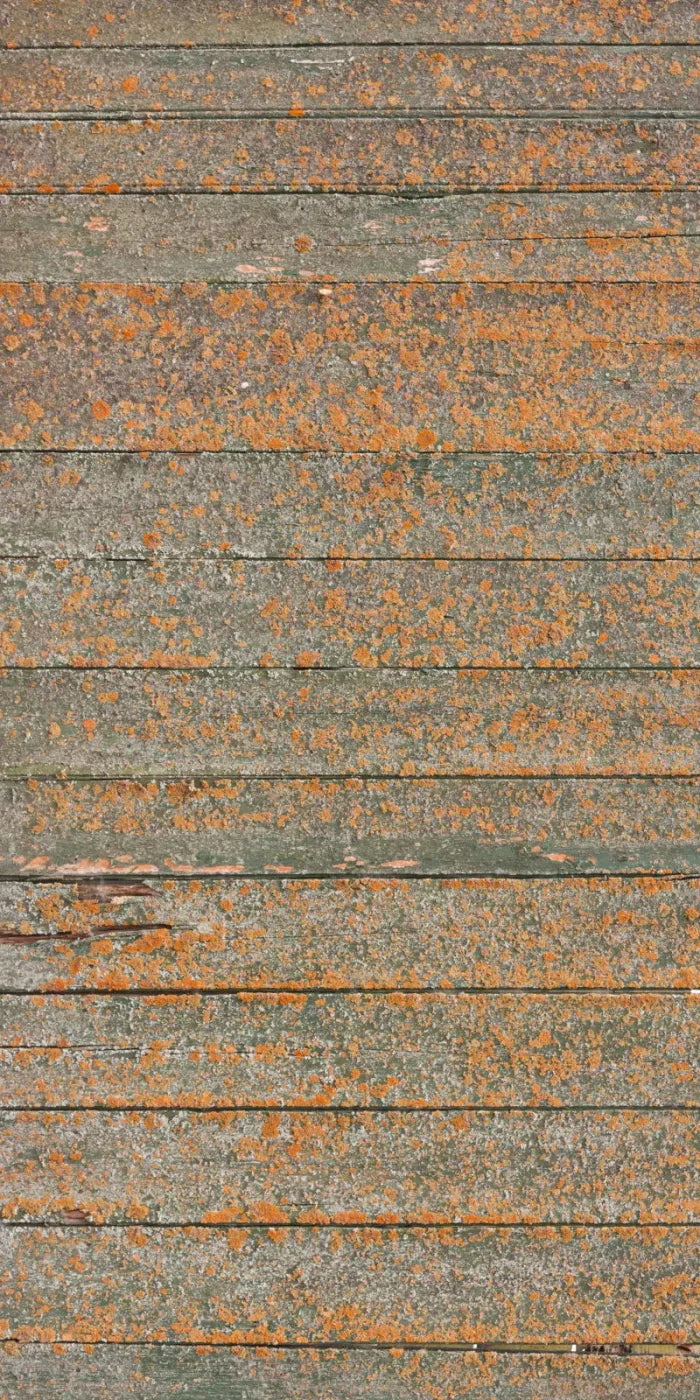 Woodsen Orange 10X20 Ultracloth ( 120 X 240 Inch ) Backdrop