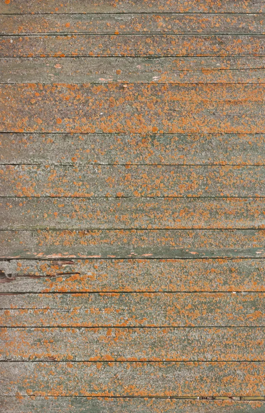 Woodsen Orange 8X12 Ultracloth ( 96 X 144 Inch ) Backdrop