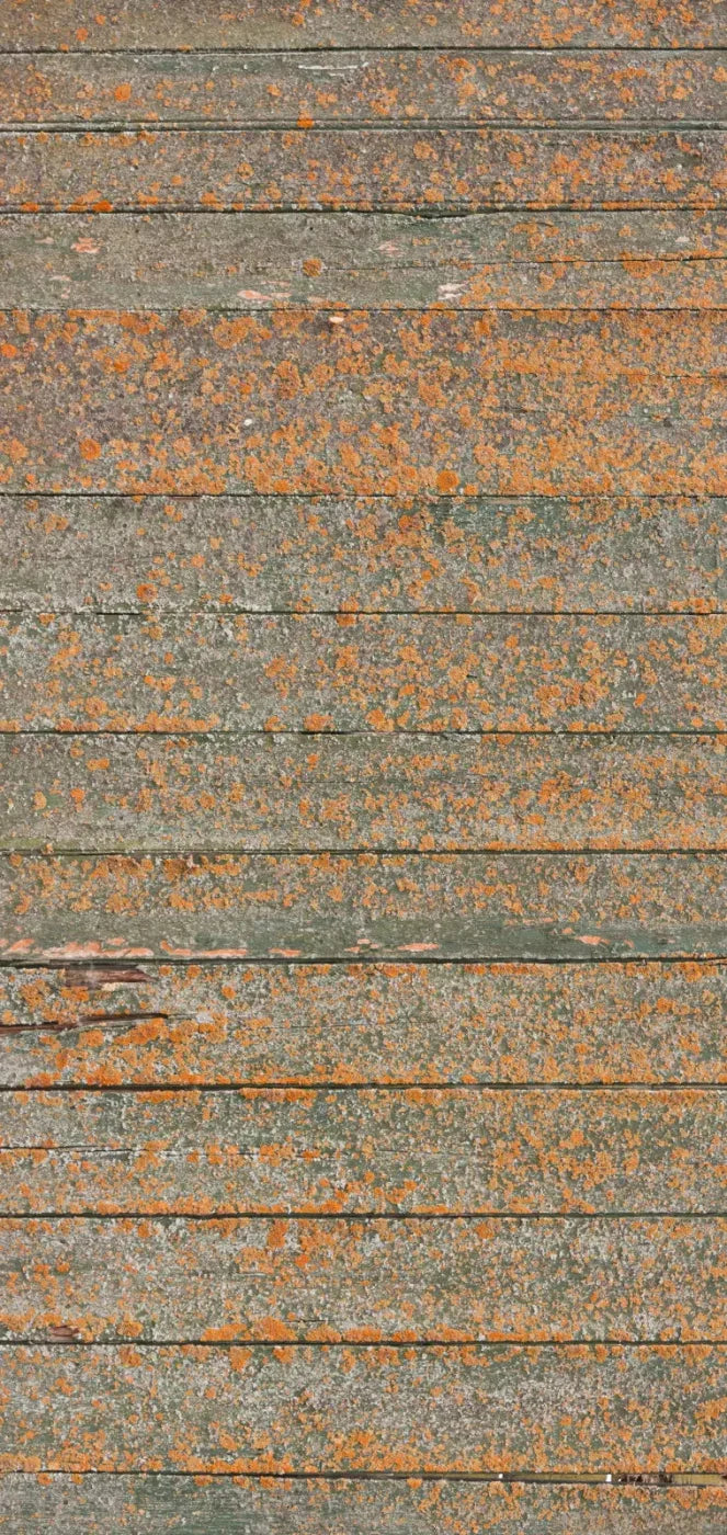 Woodsen Orange 8X16 Ultracloth ( 96 X 192 Inch ) Backdrop