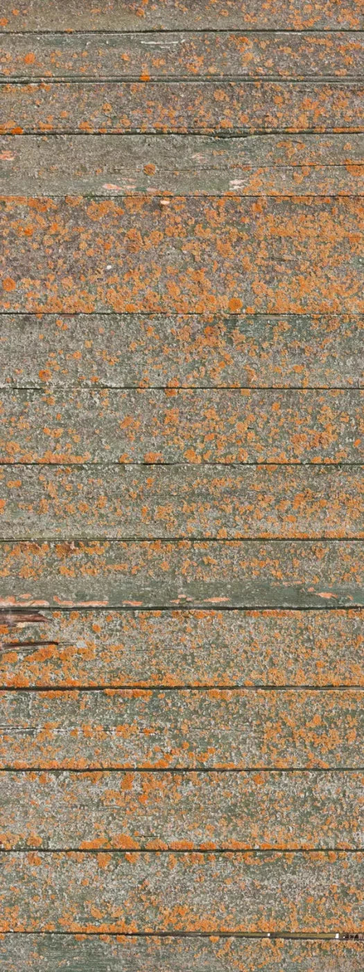 Woodsen Orange 8X20 Ultracloth ( 96 X 240 Inch ) Backdrop