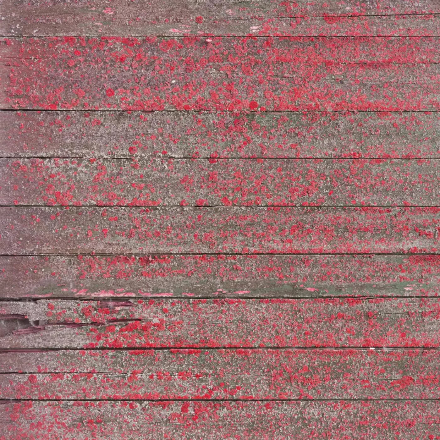Woodsen Pink 10X10 Ultracloth ( 120 X Inch ) Backdrop