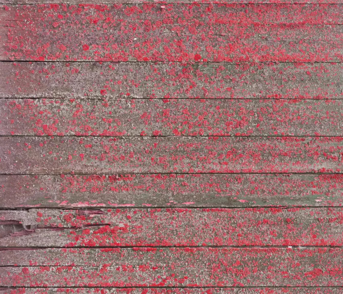 Woodsen Pink 12X10 Ultracloth ( 144 X 120 Inch ) Backdrop