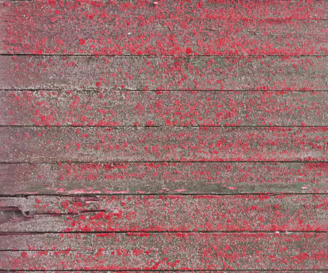 Woodsen Pink 5X42 Fleece ( 60 X 50 Inch ) Backdrop