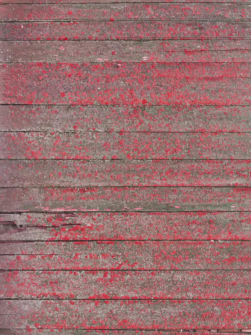 Woodsen Pink 5X7 Ultracloth ( 60 X 84 Inch ) Backdrop