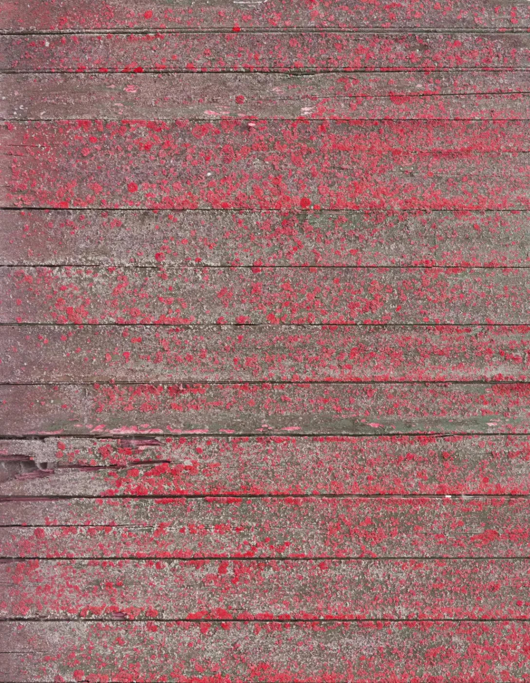 Woodsen Pink 6X8 Fleece ( 72 X 96 Inch ) Backdrop